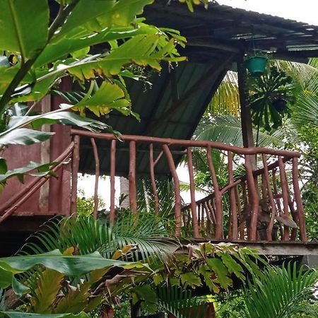 Sigiri Panaromic Tree House Villa Sigiriya Luaran gambar