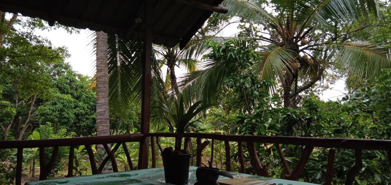 Sigiri Panaromic Tree House Villa Sigiriya Luaran gambar