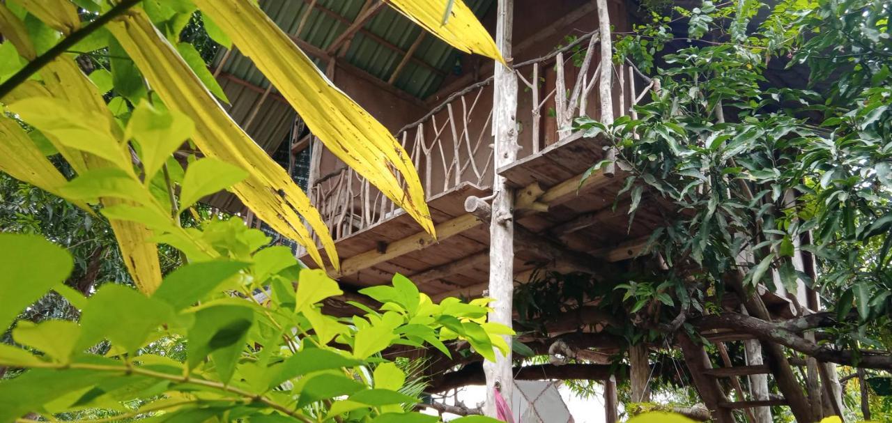 Sigiri Panaromic Tree House Villa Sigiriya Luaran gambar