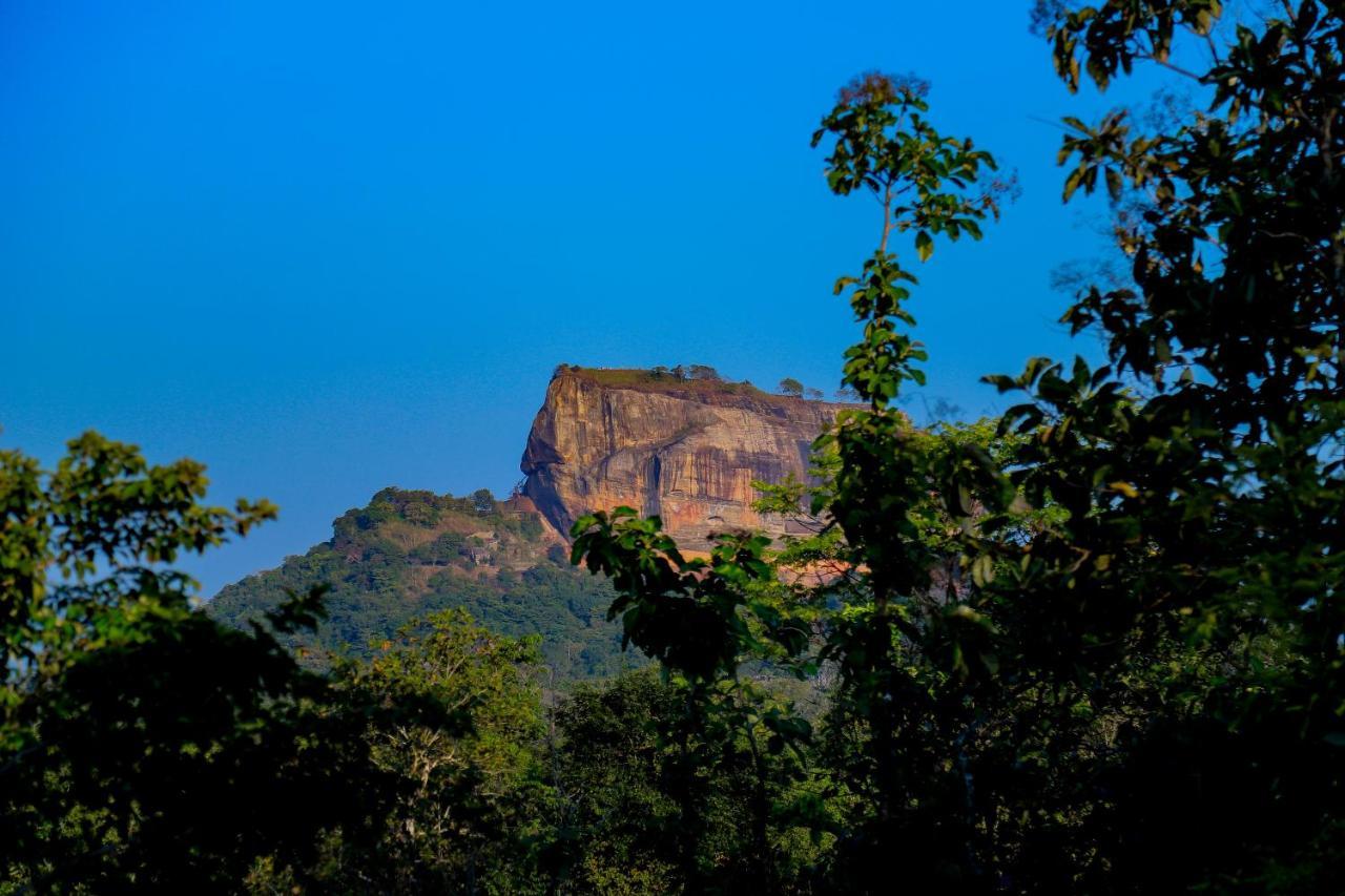 Sigiri Panaromic Tree House Villa Sigiriya Luaran gambar
